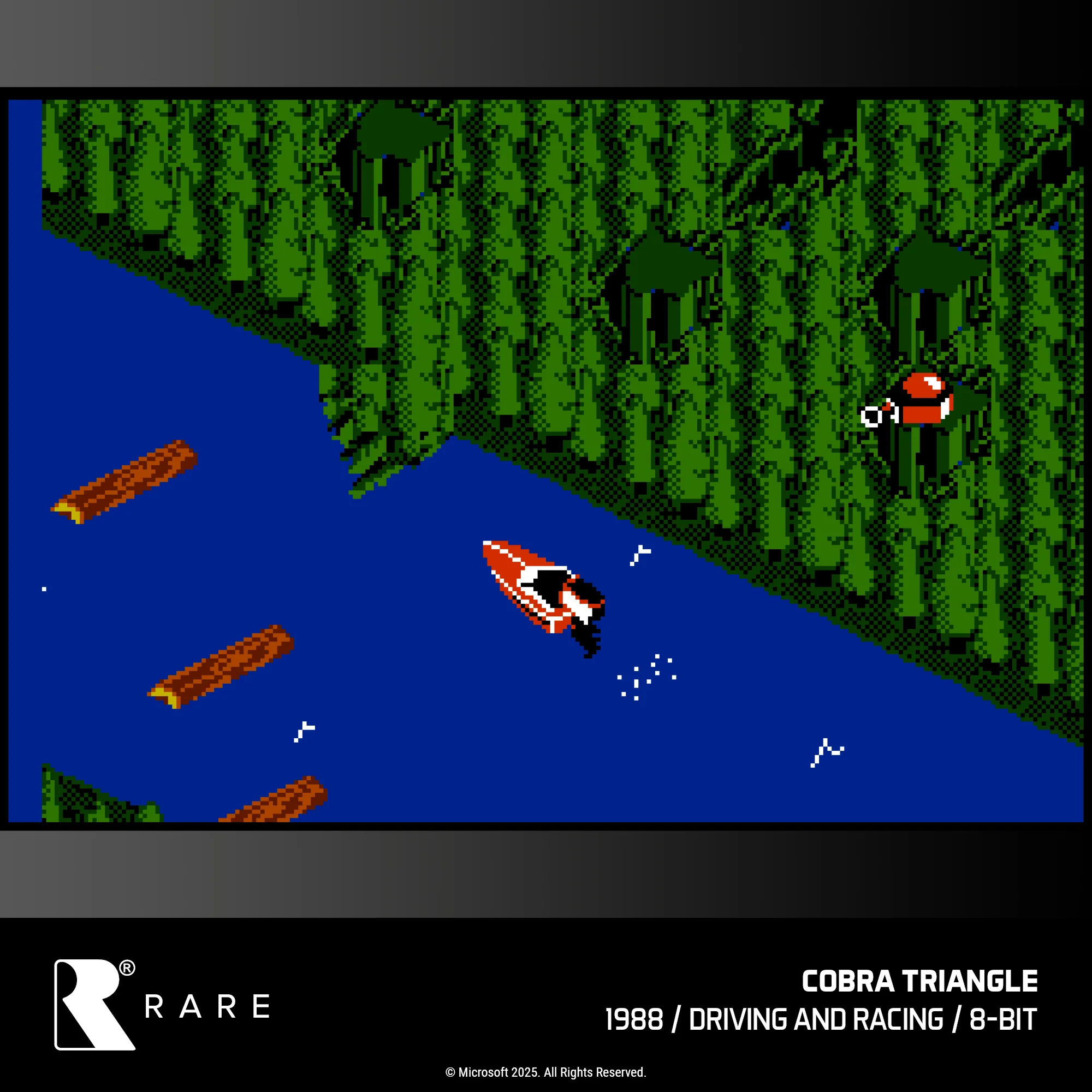 #48 Rare Collection 1 - Image 12