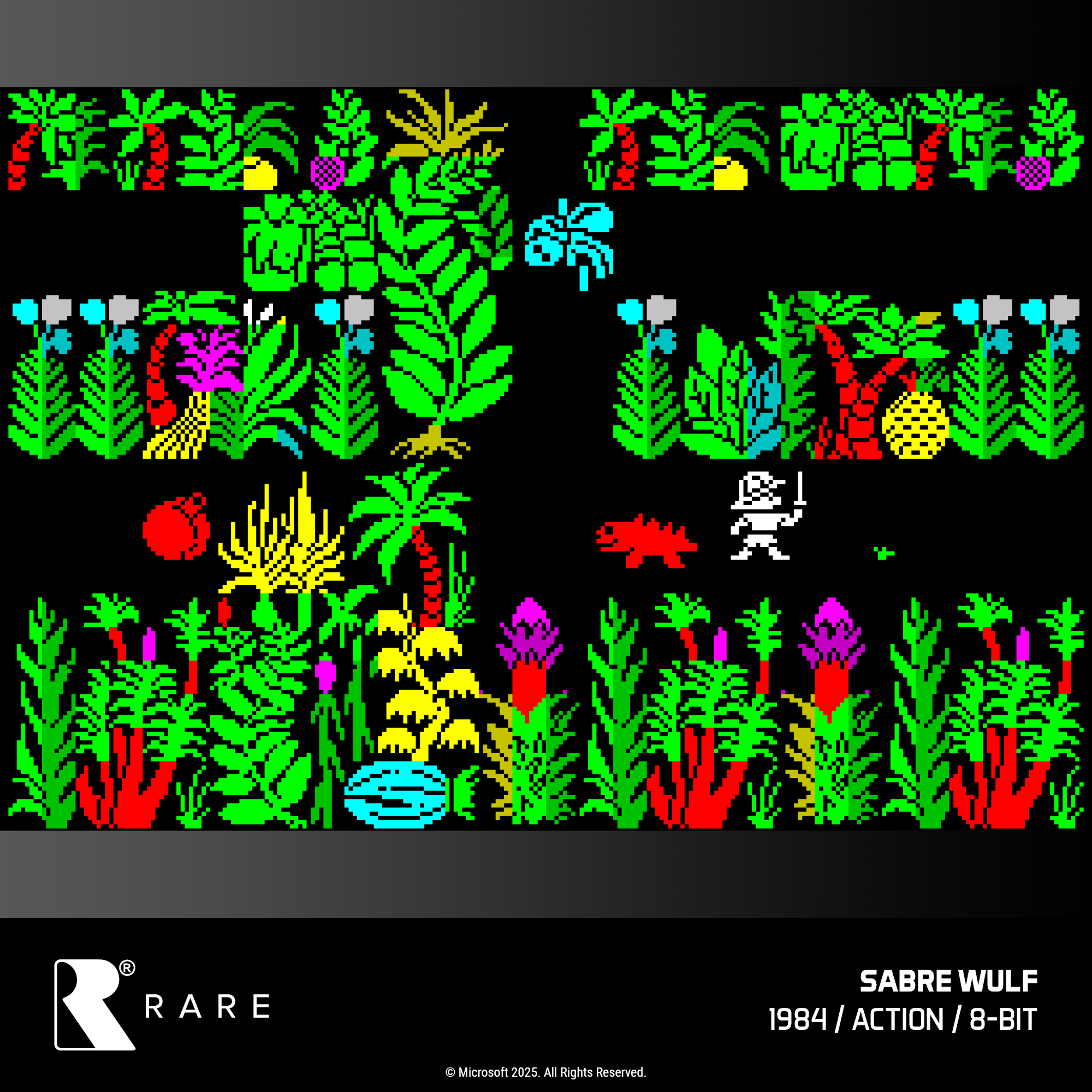 #48 Rare Collection 1 - Image 14